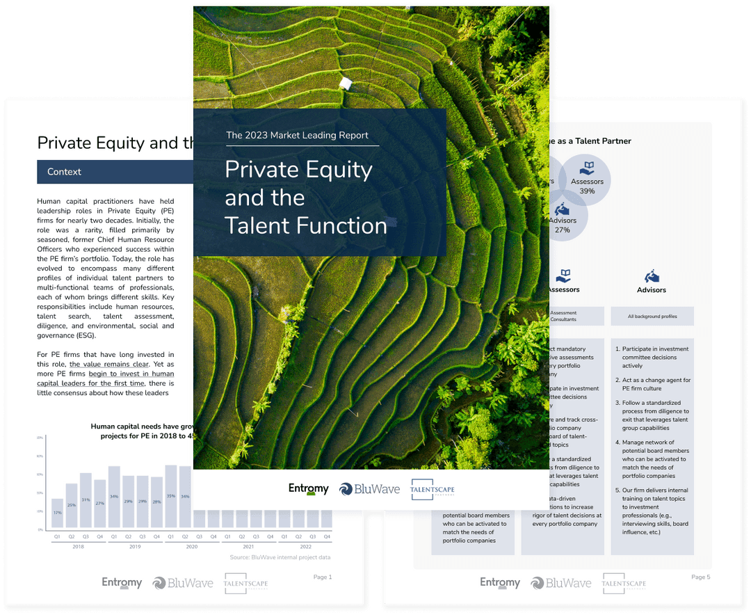 Private Equity and the Talent Function report cover